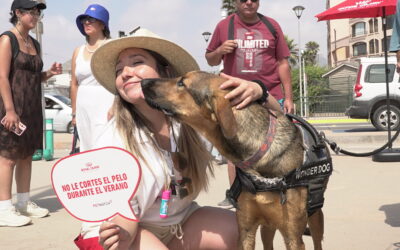 JOY activó «PETWATCH» en las playas chilenas 